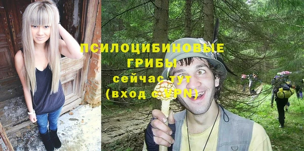 марки nbome Богданович