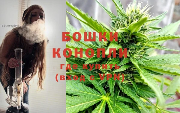 молекула духа Богородицк
