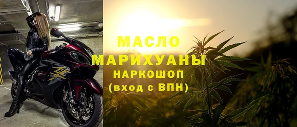 молекула духа Богородицк