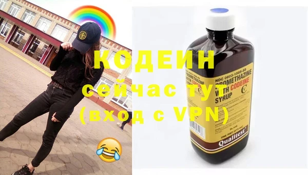 молекула духа Богородицк
